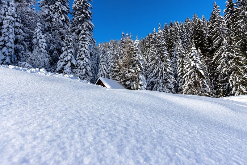 Mindful Retreats